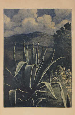 Островский Б. Советские субтропики / Предисл. А.М. Лежавы; переплет и фронтиспис худож. Н. Травина. [М.; Л.], 1937.